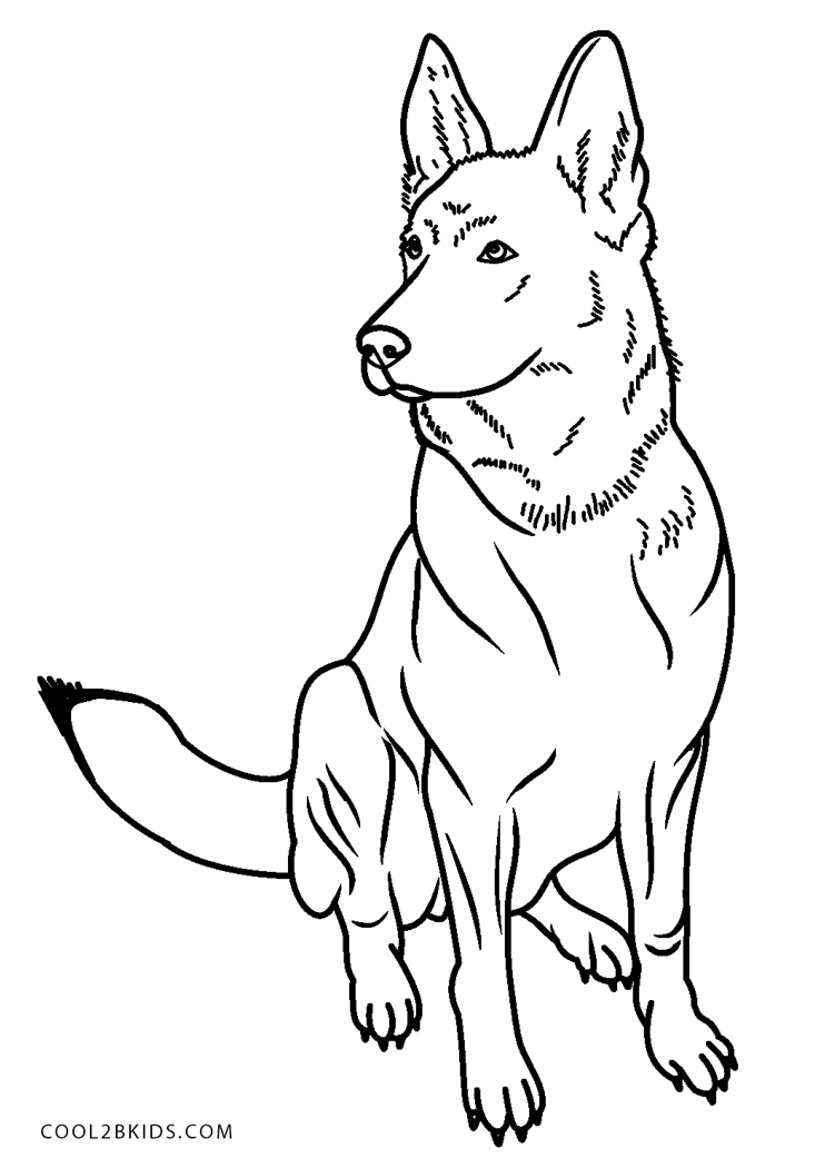 Husky kolorowanki